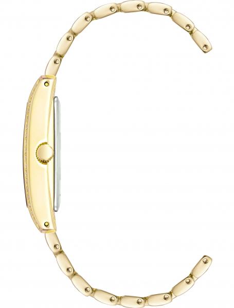 Anne Klein Steel 3990GBST