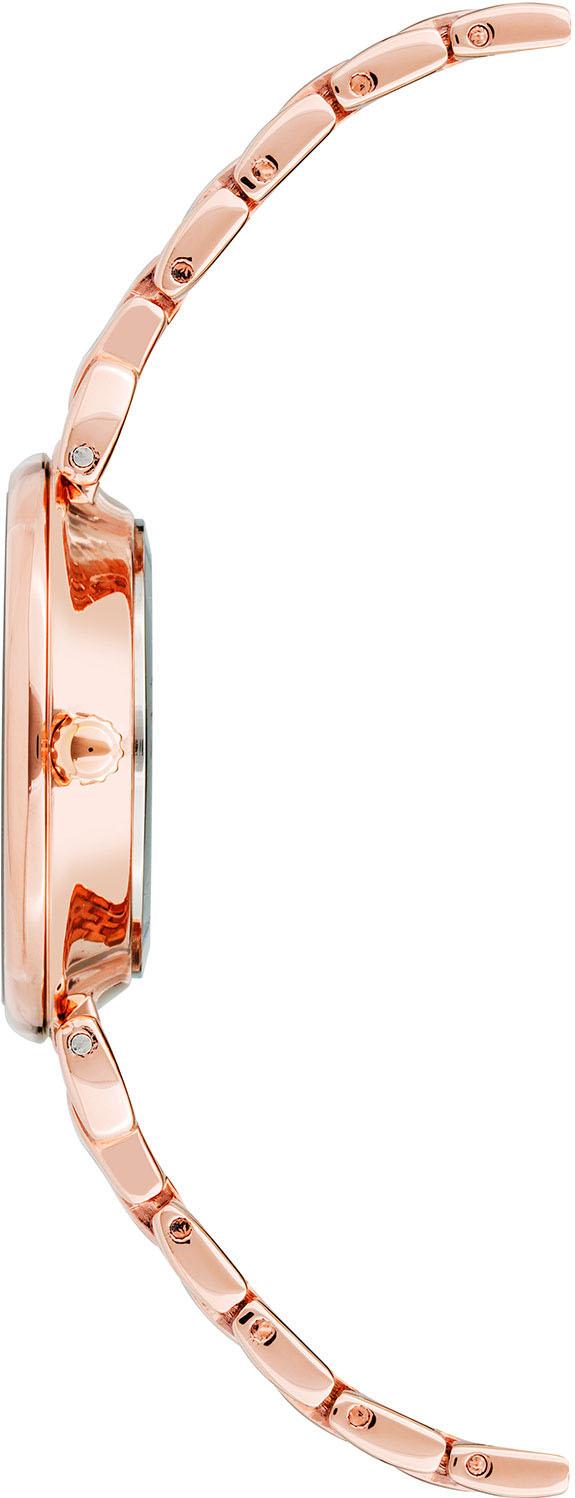 Anne Klein Steel 3872RGRG