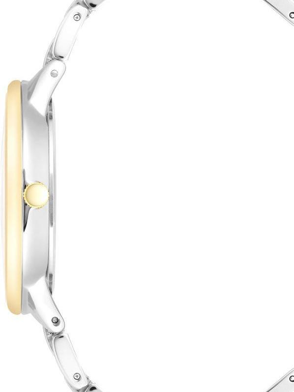 Anne Klein Steel 3877SVTT