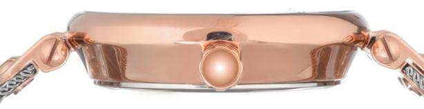 Anne Klein Steel 3001SVRT