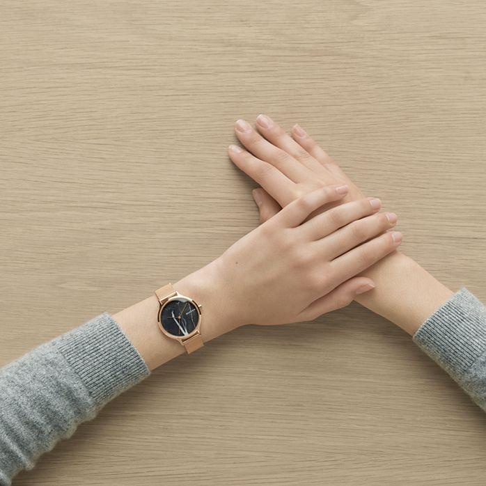 Skagen Steel Women SKW2721