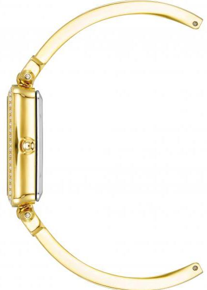 Anne Klein Plastic 3898TNST