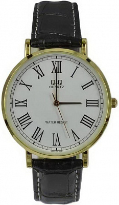 Наручные часы Q&Q Q978J809Y