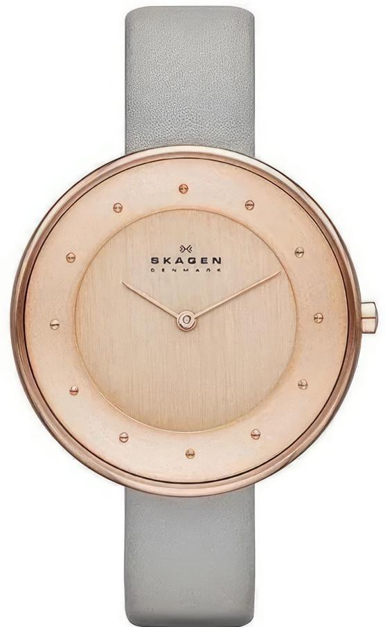 Skagen SKW2139