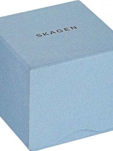 Skagen Steel SKW6450
