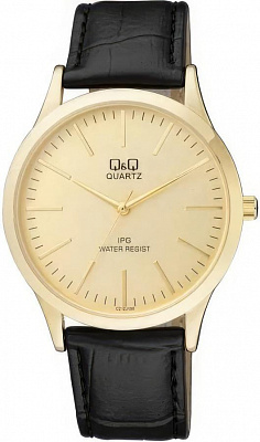 Наручные часы Q&Q C212J100Y