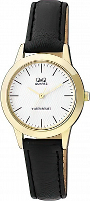 Наручные часы Q&Q Q947J101Y