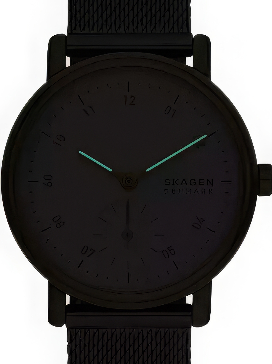 Skagen Kuppel SKW3101