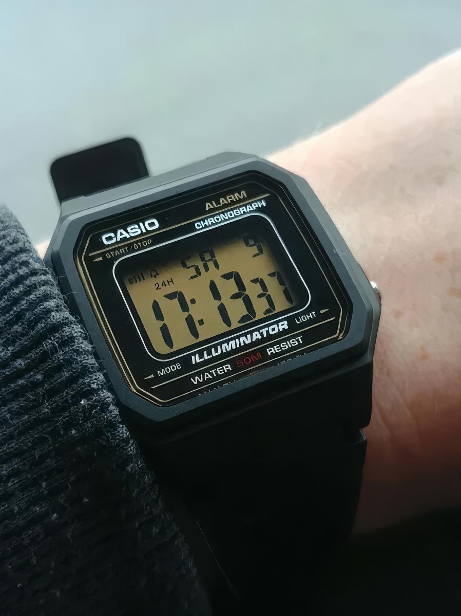 Casio W-217H-9A