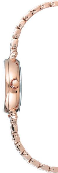 Anne Klein Steel 2662SVRG