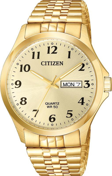 Citizen BF5002-99P