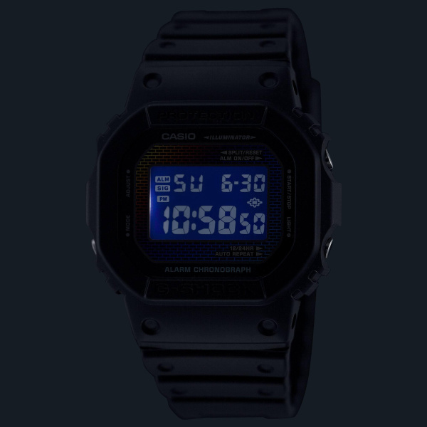 Casio DW-5600RW-1E