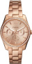 Fossil ES4315