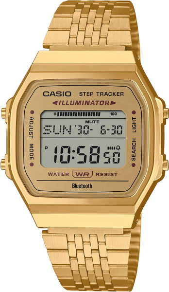 Casio ABL-100WEG-9A